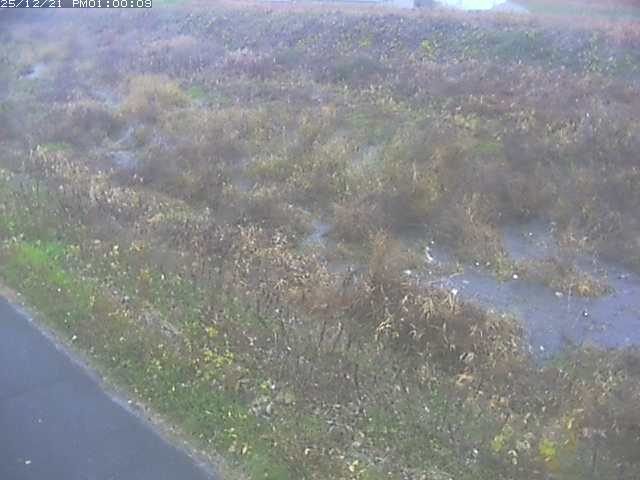 佐陀川３（河岡下流）2025/12/22 1:00:00