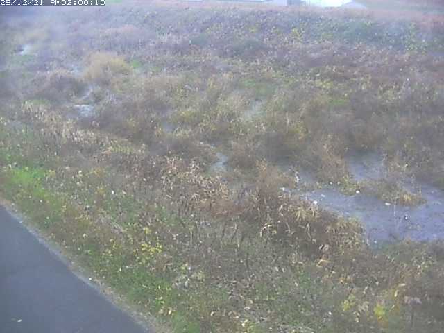 佐陀川３（河岡下流）2025/12/22 1:00:00