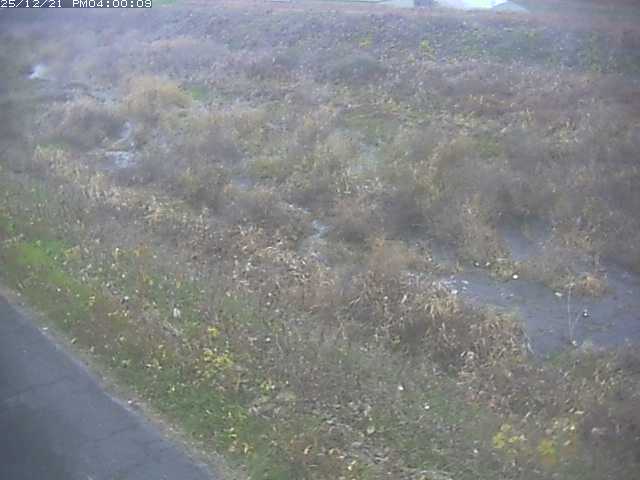 佐陀川３（河岡下流）2025/12/22 1:00:00