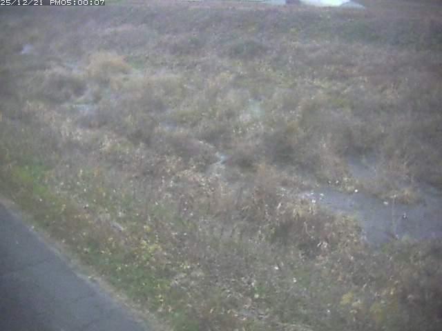 佐陀川３（河岡下流）2025/12/22 1:00:00