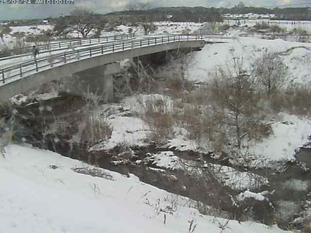佐陀川４（河岡上流）2026/02/25 2:40:00