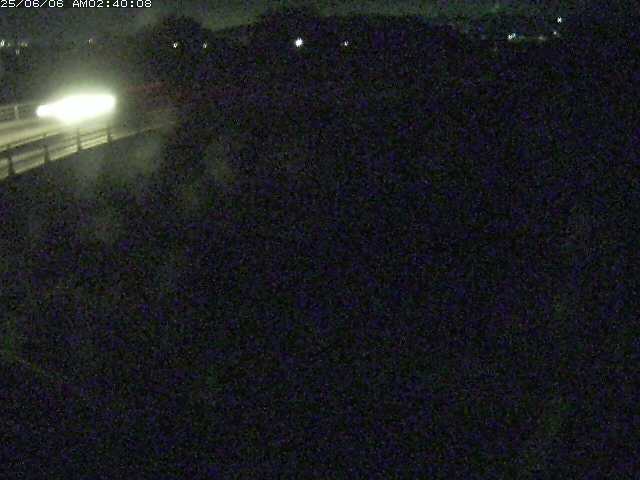佐陀川４（河岡上流）2025/06/06 3:30:00
