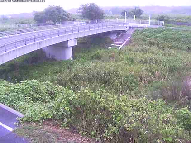 佐陀川４（河岡上流）2026/08/28 17:30:00