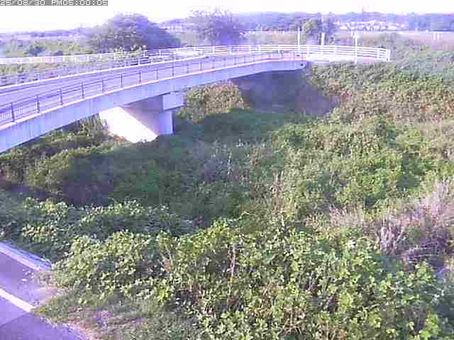 佐陀川４（河岡上流）2025/08/31 11:20:00