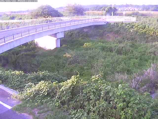 佐陀川４（河岡上流）2025/08/31 11:20:00