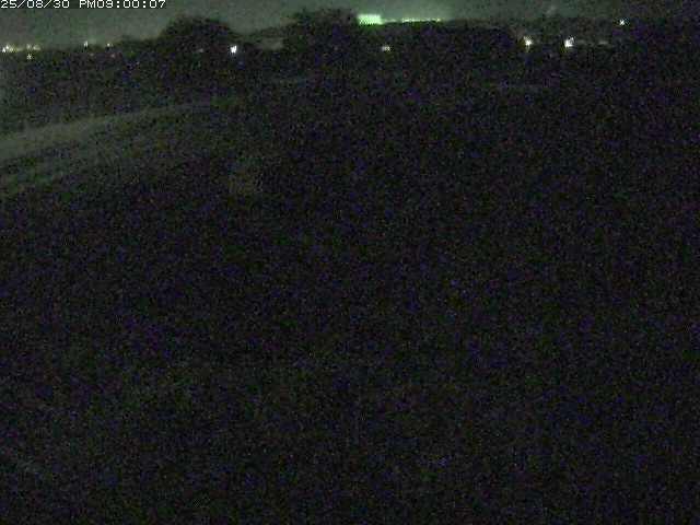 佐陀川４（河岡上流）2025/08/31 11:20:00