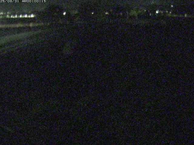 佐陀川４（河岡上流）2025/08/31 11:20:00
