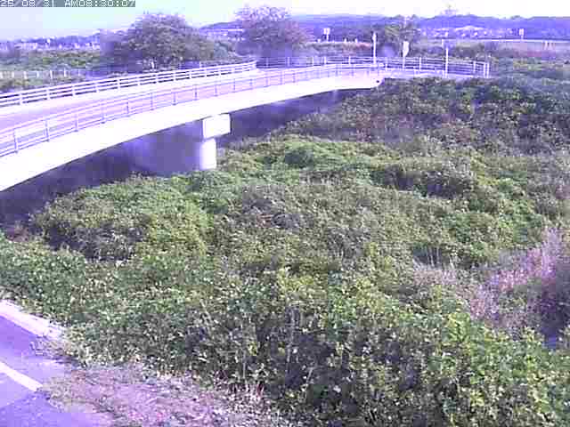 佐陀川４（河岡上流）2025/08/31 11:20:00