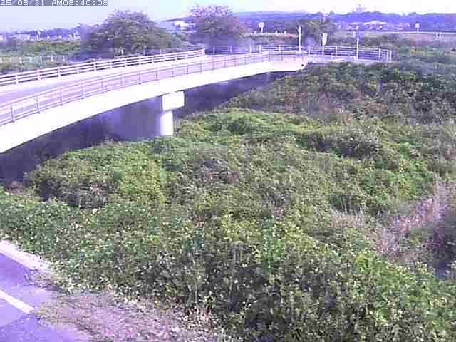 佐陀川４（河岡上流）2025/08/31 11:20:00