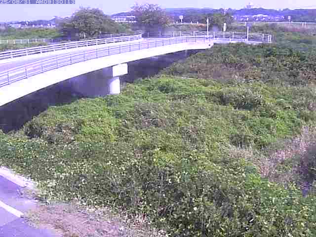 佐陀川４（河岡上流）2025/08/31 11:20:00