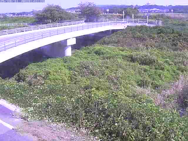 佐陀川４（河岡上流）2025/08/31 11:20:00
