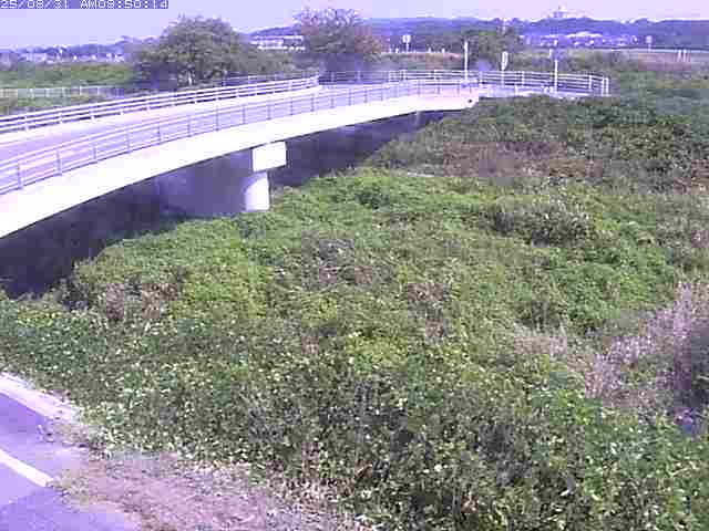 佐陀川４（河岡上流）2025/08/31 11:20:00