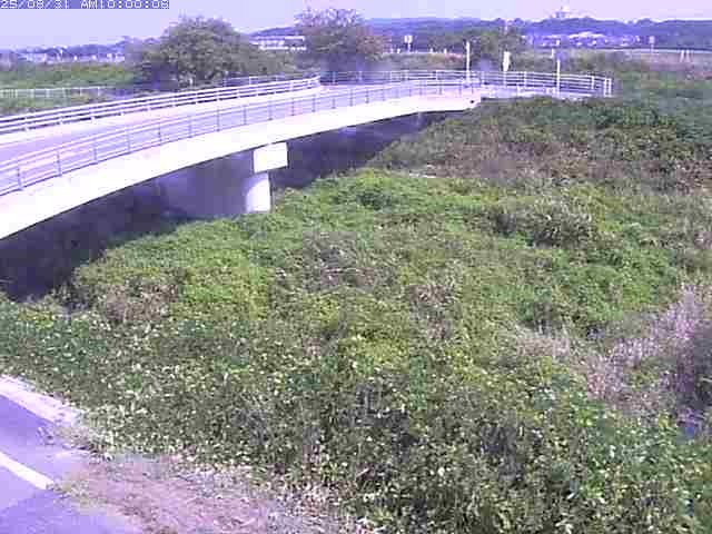 佐陀川４（河岡上流）2025/08/31 11:20:00