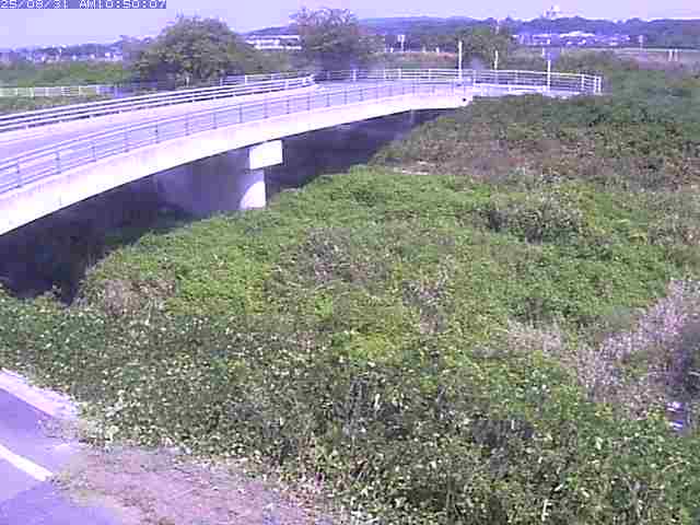 佐陀川４（河岡上流）2025/08/31 11:20:00