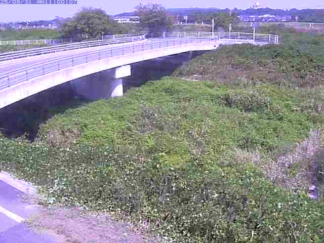 佐陀川４（河岡上流）2025/08/31 11:20:00