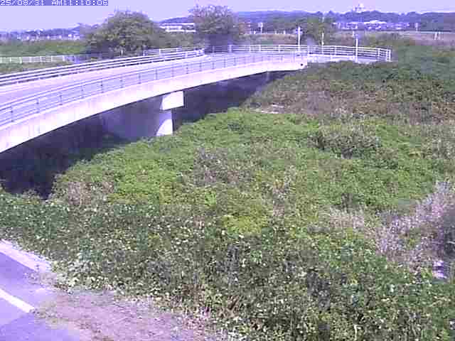 佐陀川４（河岡上流）2025/08/31 11:20:00