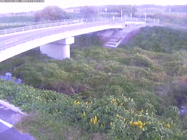 佐陀川4(河岡上流)2025/10/31 07:50