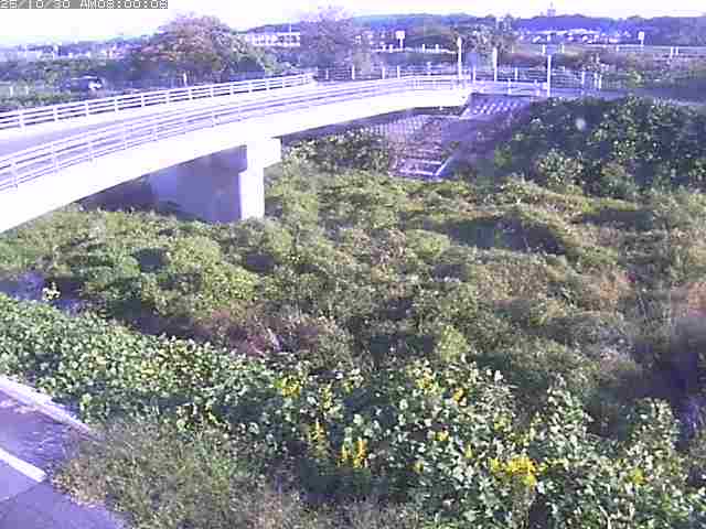 佐陀川4(河岡上流)2025/10/31 07:50