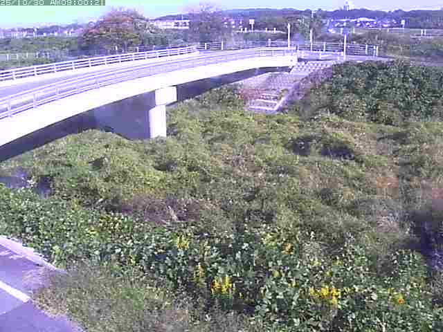 佐陀川4(河岡上流)2025/10/31 07:50
