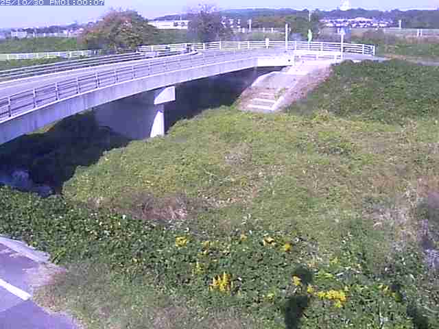 佐陀川4(河岡上流)2025/10/31 07:50