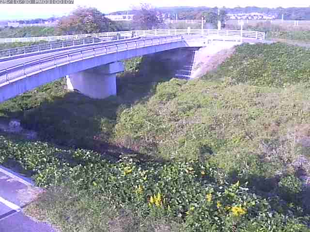 佐陀川4(河岡上流)2025/10/31 07:50