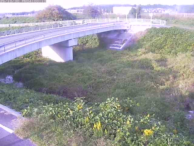 佐陀川4(河岡上流)2025/10/31 07:50