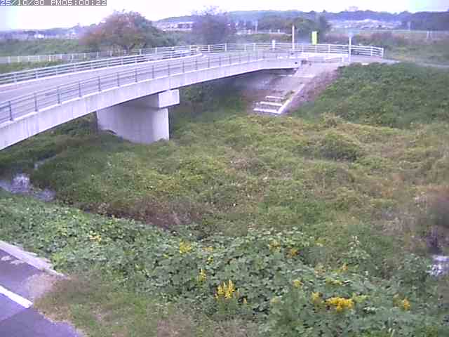 佐陀川4(河岡上流)2025/10/31 07:50