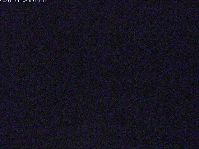 佐陀川4(河岡上流)2025/10/31 07:50