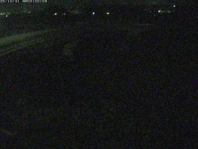 佐陀川4(河岡上流)2025/10/31 07:50