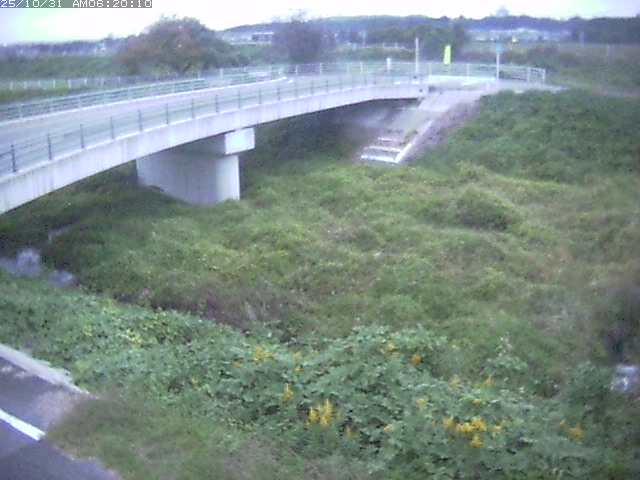 佐陀川4(河岡上流)2025/10/31 07:50