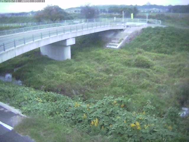 佐陀川4(河岡上流)2025/10/31 07:50