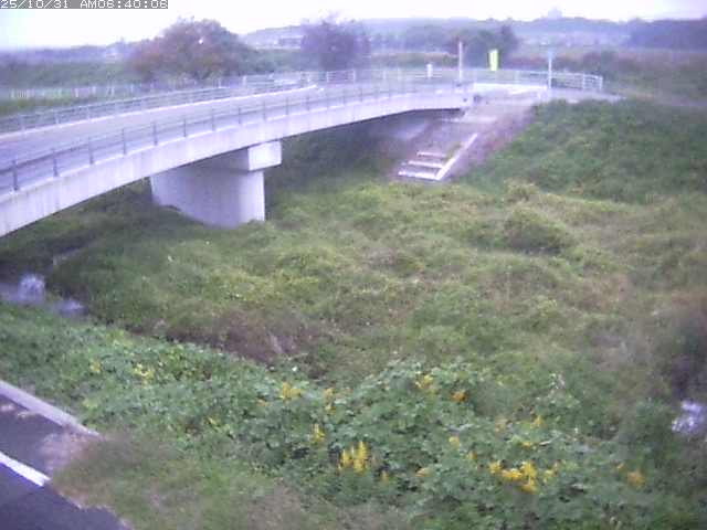 佐陀川4(河岡上流)2025/10/31 07:50