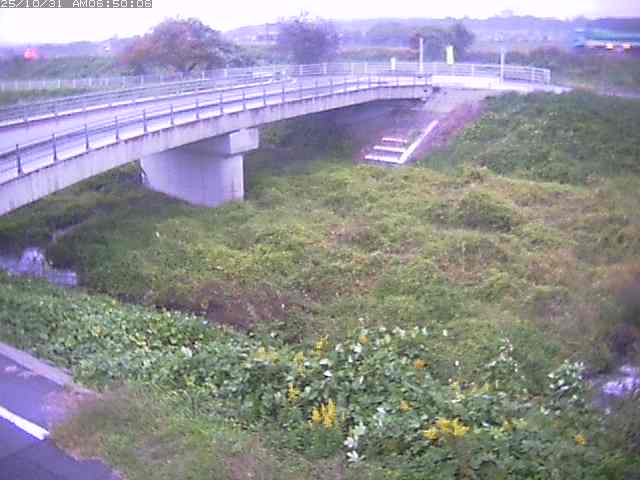 佐陀川4(河岡上流)2025/10/31 07:50