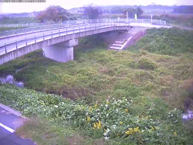 佐陀川4(河岡上流)2025/10/31 07:50