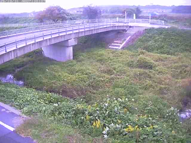 佐陀川4(河岡上流)2025/10/31 07:50