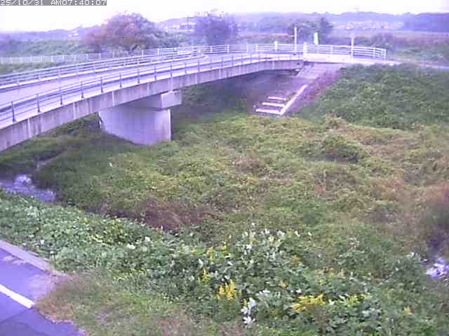 佐陀川4(河岡上流)2025/10/31 07:50