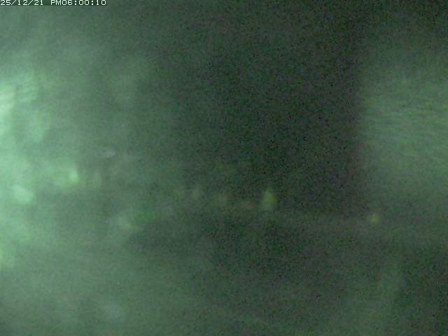 佐陀川５2025/12/22 1:00:00