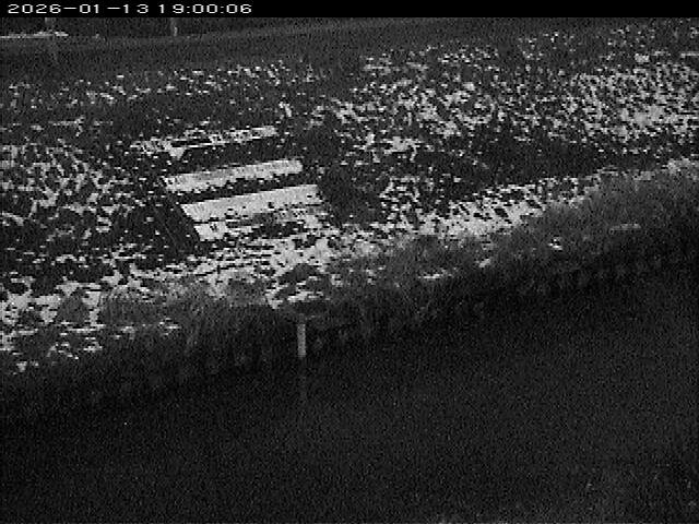 大路川１2026/01/14 18:50:00