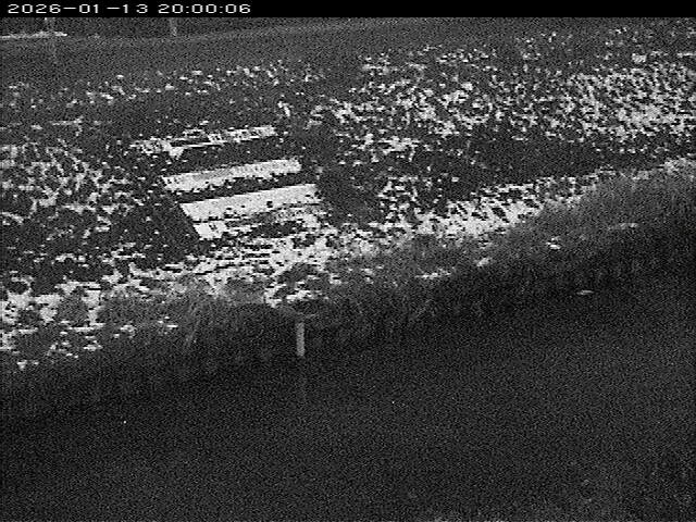 大路川１2026/01/14 18:50:00