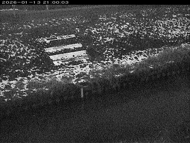 大路川１2026/01/14 18:50:00