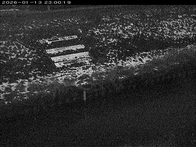 大路川１2026/01/14 18:50:00