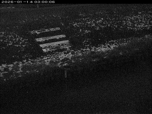 大路川１2026/01/14 18:50:00