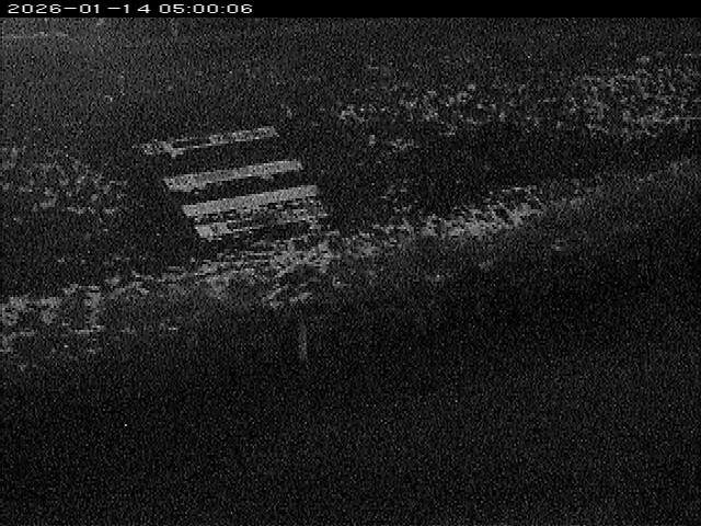 大路川１2026/01/14 18:50:00