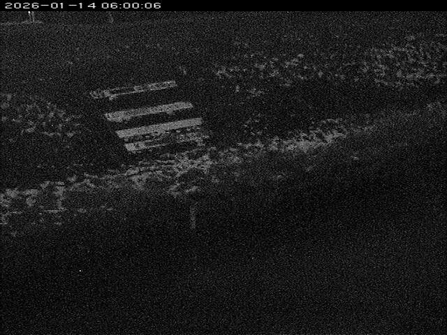 大路川１2026/01/14 18:50:00