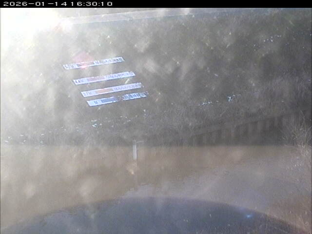 大路川１2026/01/14 18:50:00