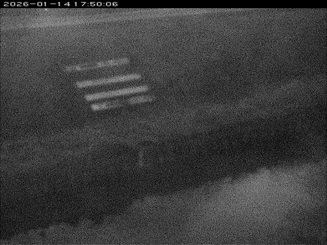 大路川１2026/01/14 18:50:00