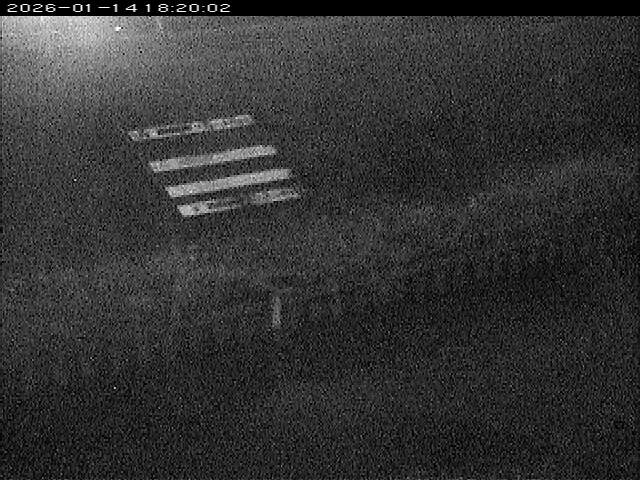 大路川１2026/01/14 18:50:00