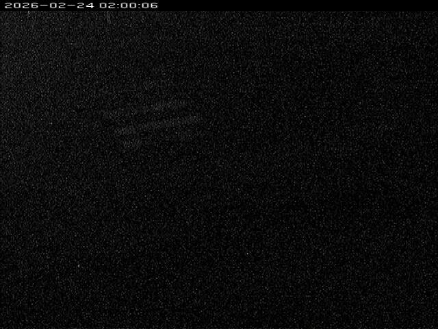 大路川１2026/02/25 2:30:00