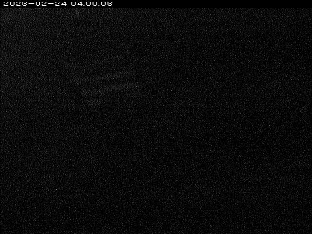 大路川１2026/02/25 2:30:00