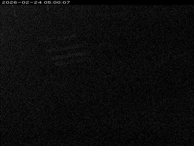 大路川１2026/02/25 2:30:00